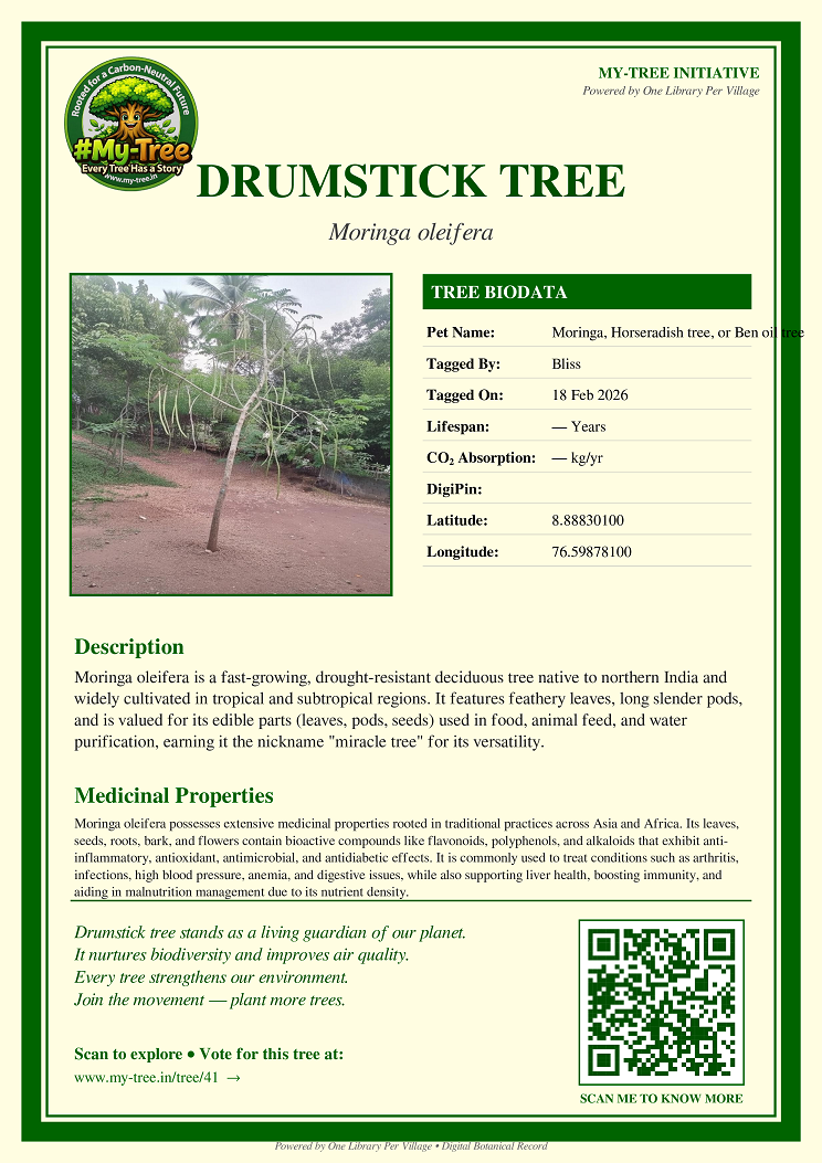 Tree illustration